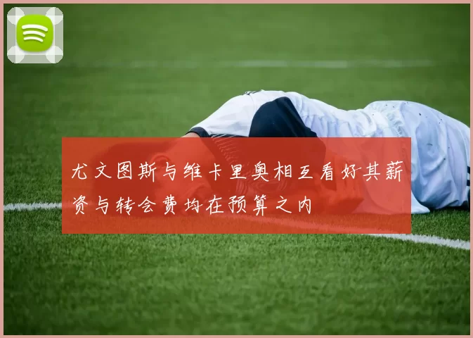 尤文图斯与维卡里奥相互看好其薪资与转会费均在预算之内