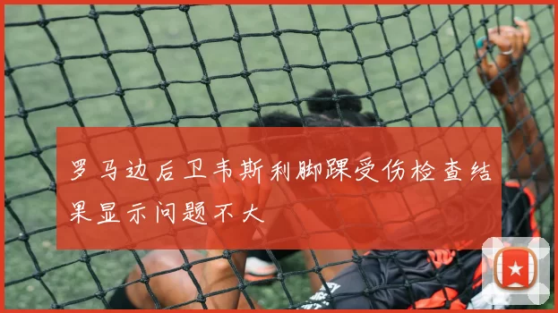罗马边后卫韦斯利脚踝受伤检查结果显示问题不大