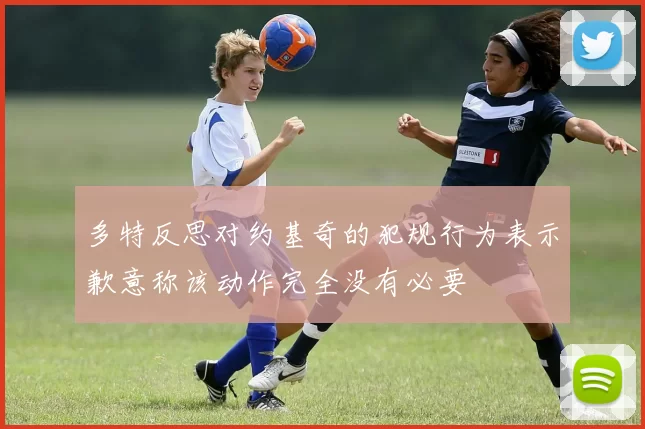多特反思对约基奇的犯规行为表示歉意称该动作完全没有必要