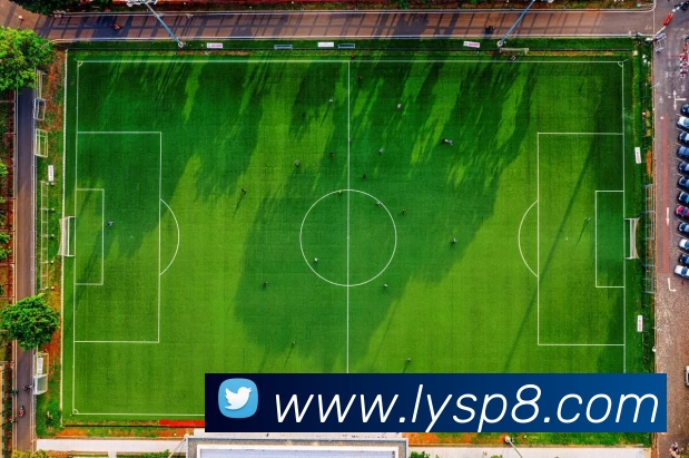 乐鱼体育APP 封面图